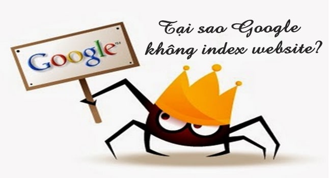 Tại sao Google không index website?